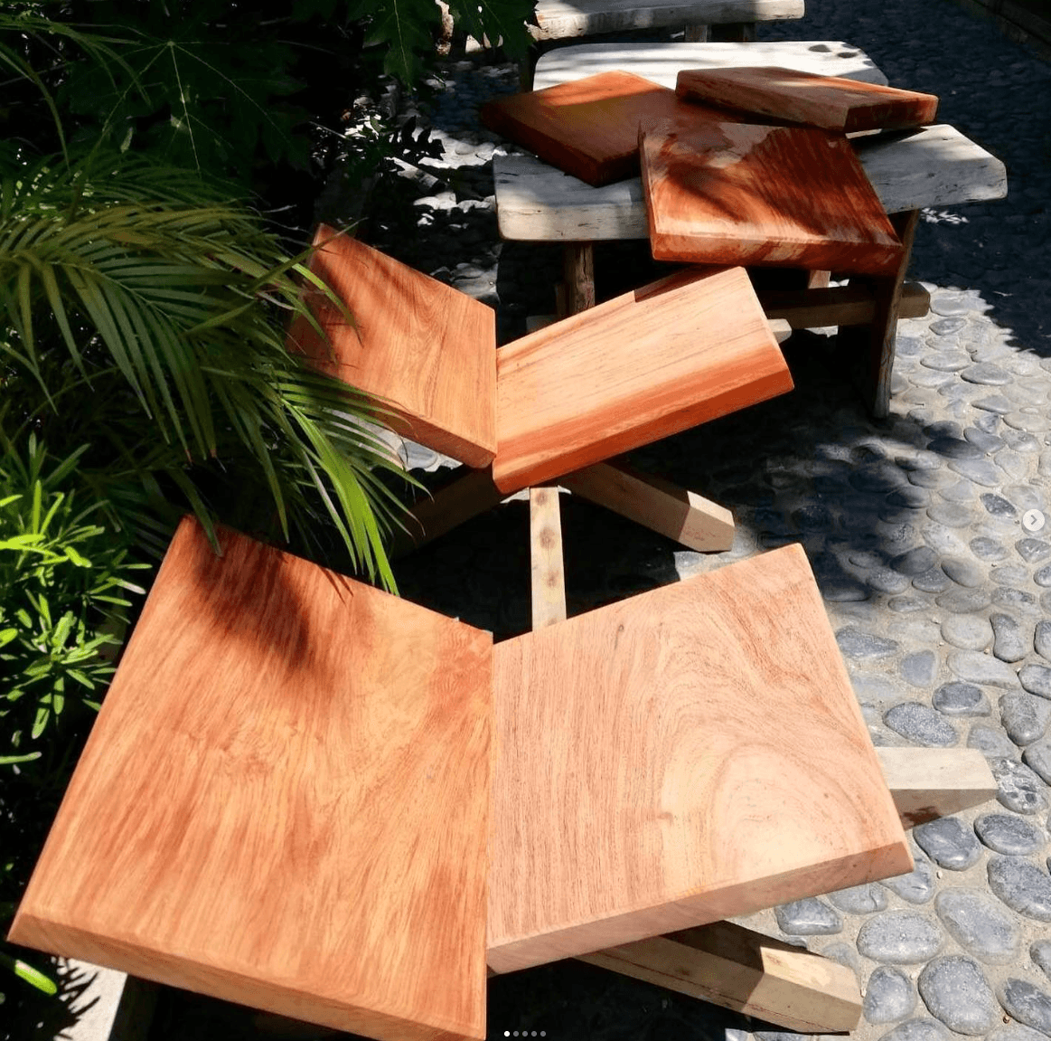 Boards Drying in the Sun